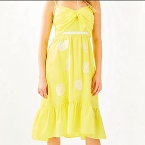 NWT Lilly Pulitzer Dress